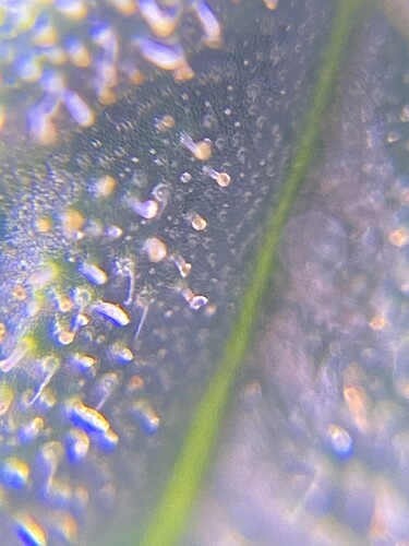 Growreport Bild 10
