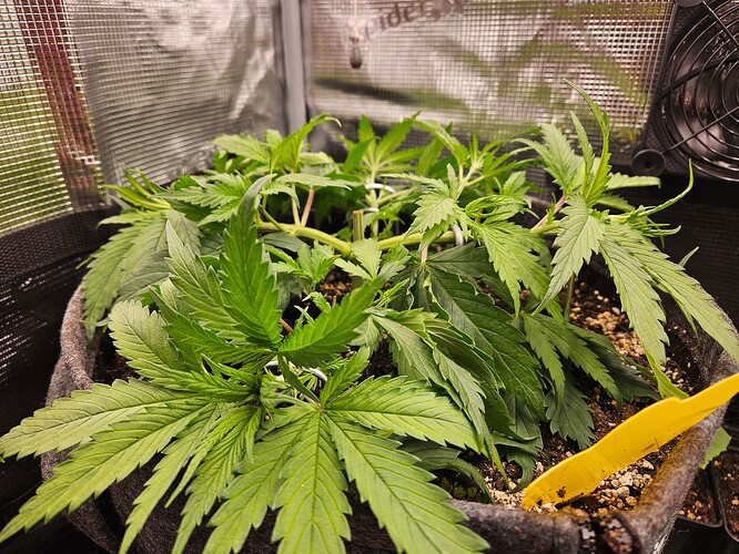 Growreport Bild 16