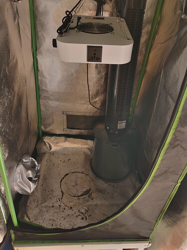 IMG_20241214_102202_hdr