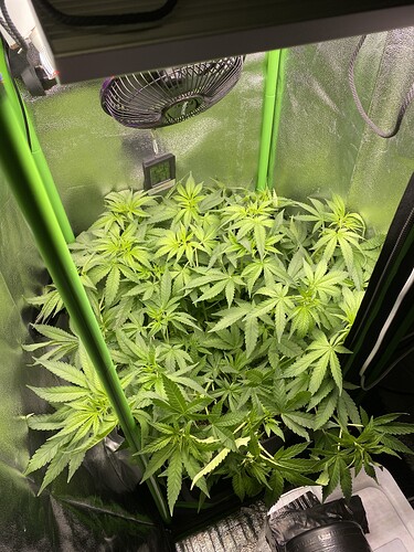 Growreport Bild 19