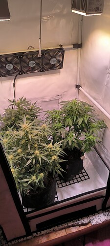 Growreport Bild 5