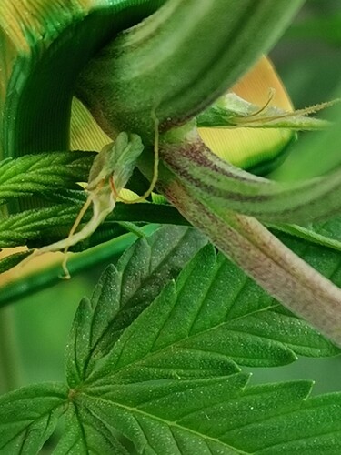 Growreport Bild 24