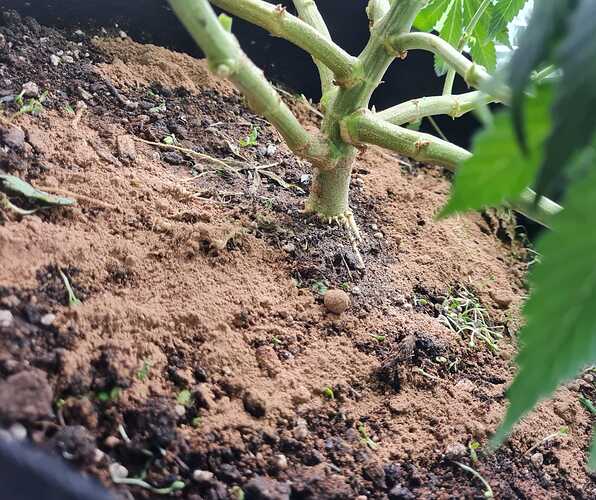 Growreport Bild 24