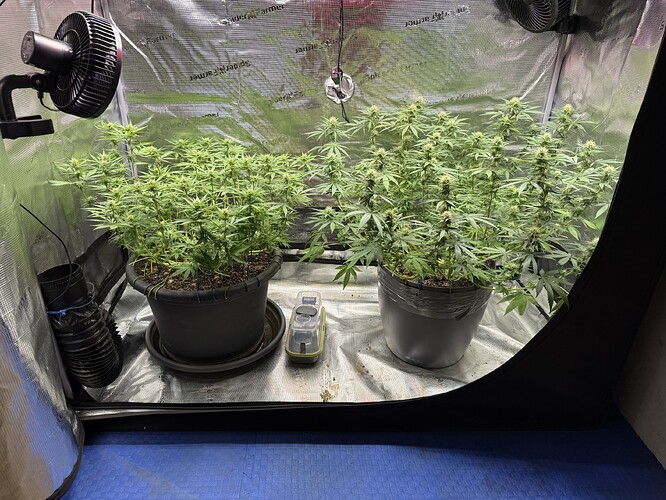 Growreport Bild 34