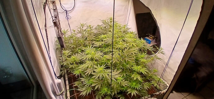 Growreport Bild 5