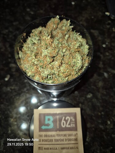 Growreport Bild 7
