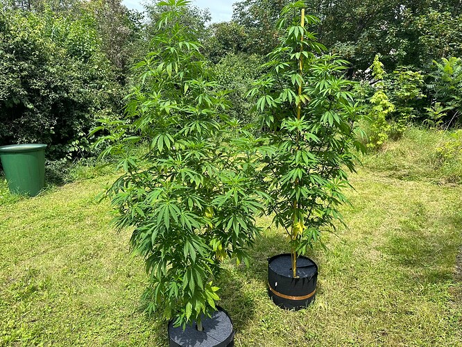 Growreport Bild 15
