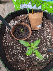 PXL_20250614_170035861