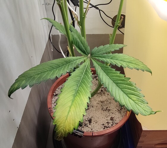 Growreport Bild 3