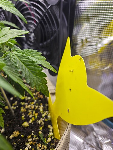 Growreport Bild 49