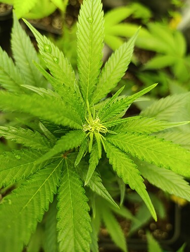 Growreport Bild 10