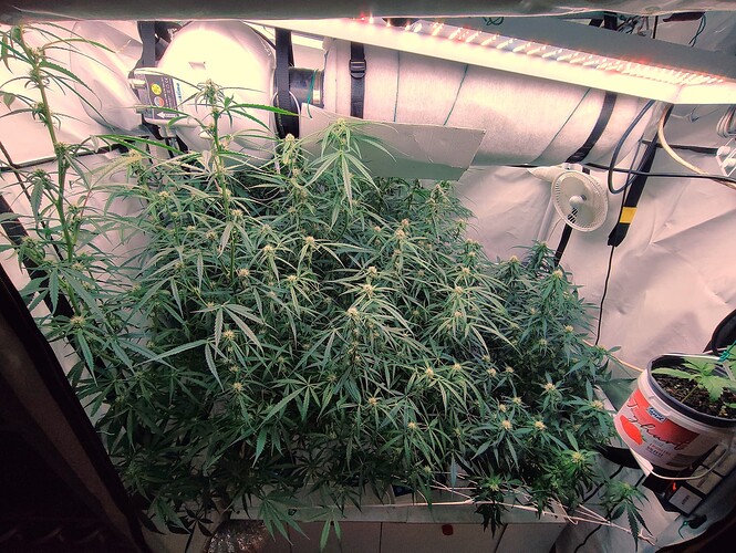 Growreport Bild 12