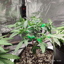 ahurtzhpwyl_1772271011803