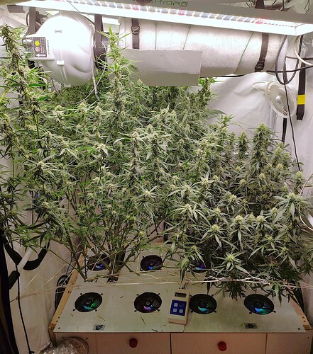 Growreport Bild 10