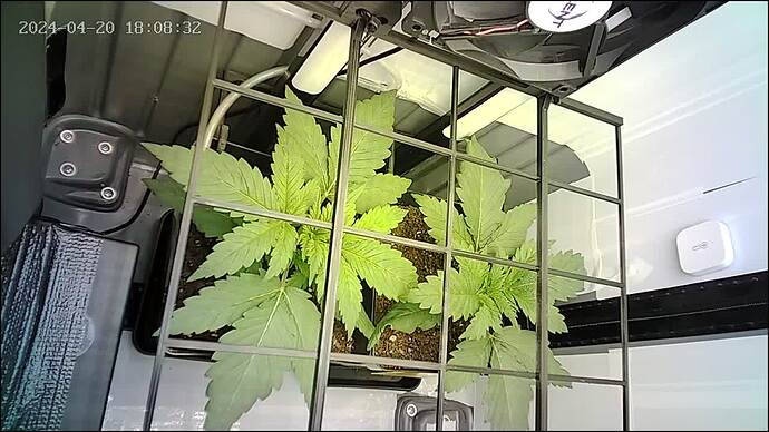Growreport Bild 1