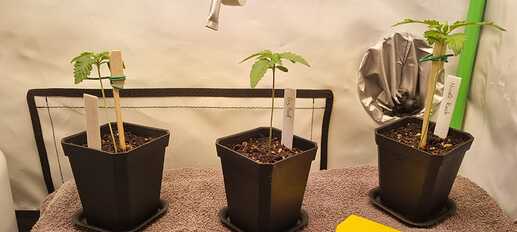 WhatsApp Image 2024-05-04 at 11.39.37 (2)