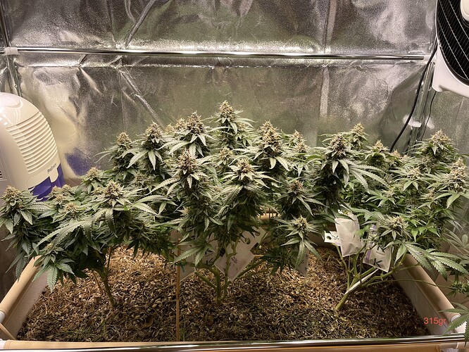 Growreport Bild 11
