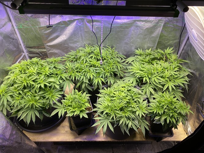 Growreport Bild 108