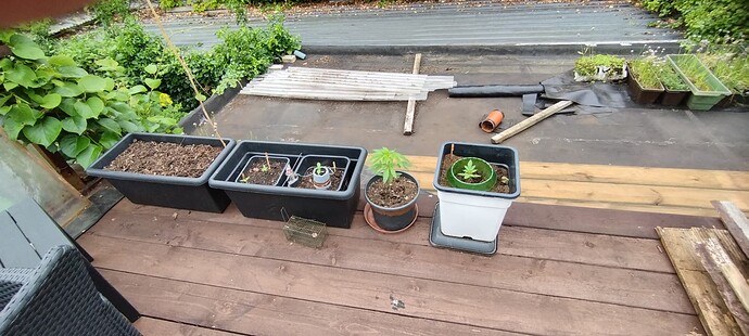Growreport Bild 8