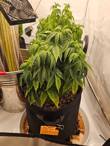 Growreport Bild 14