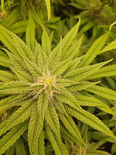 Growreport Bild 12