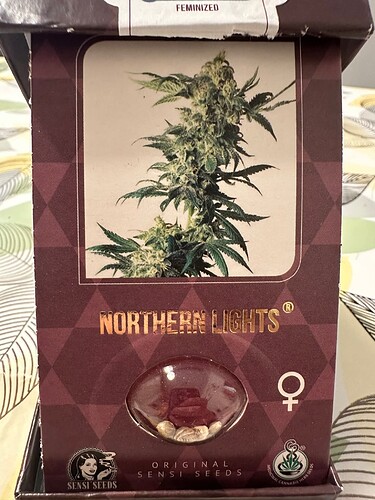 Growreport Bild 1