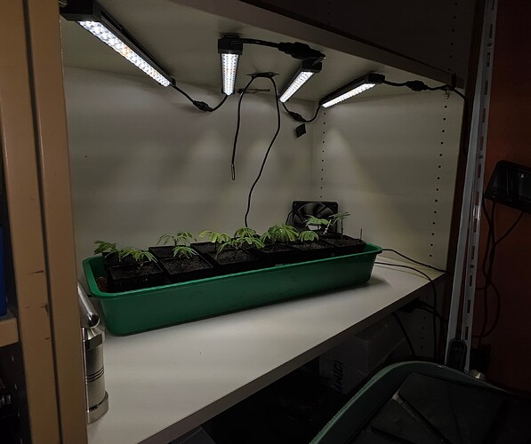 Growreport Bild 15