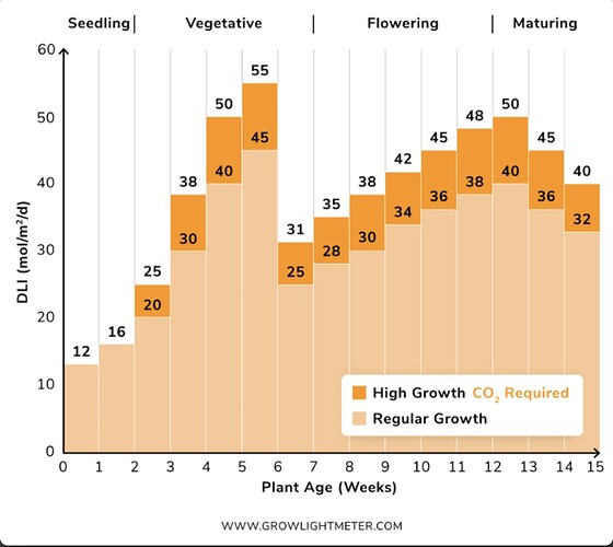 Growreport Bild 37