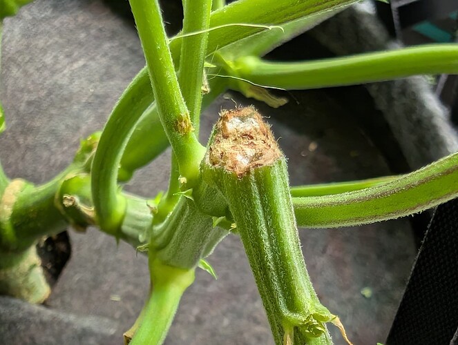 Growreport Bild 8
