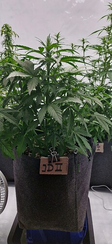 Growreport Bild 6