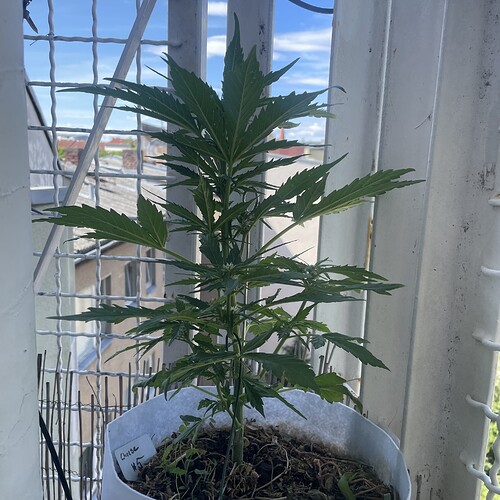 Growreport Bild 16