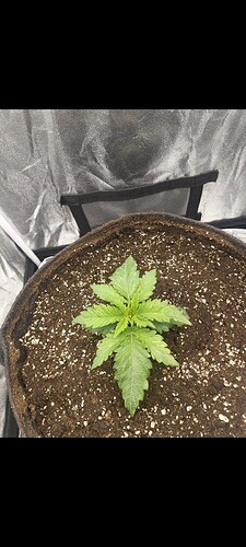 Growreport Bild 10