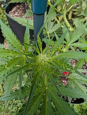 Growreport Bild 10