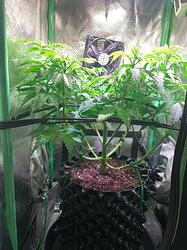 WhatsApp Bild 2024-12-10 um 16.18.18_3f7caa54