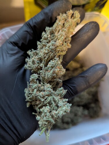 PXL_20250903_164008423.MP