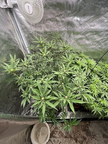 Growreport Bild 6