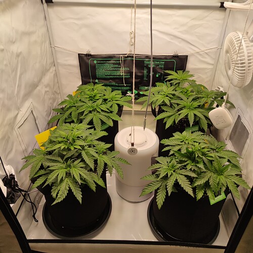Growreport Bild 9