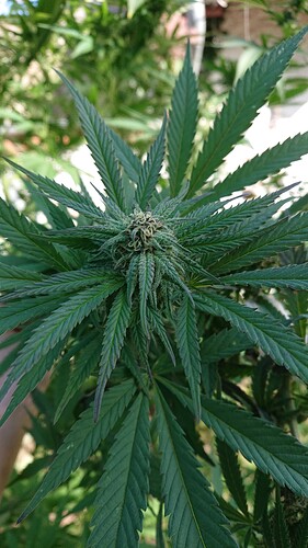 Growreport Bild 56
