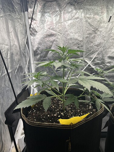 Growreport Bild 4