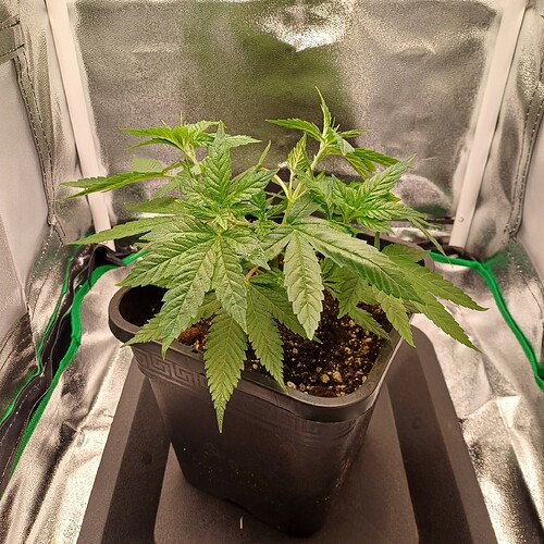 Growreport Bild 23