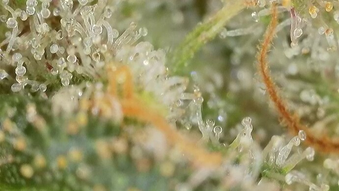 Growreport Bild 17