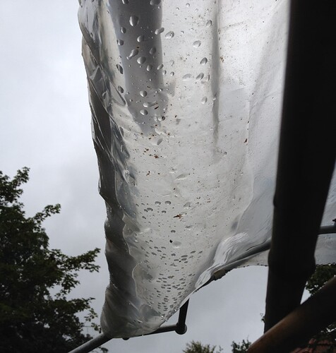 Growreport Bild 5