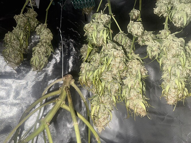 Growreport Bild 18