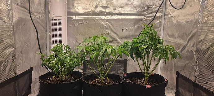 Growreport Bild 13