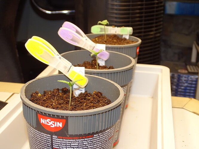 Growreport Bild 28