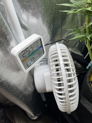 Growreport Bild 16