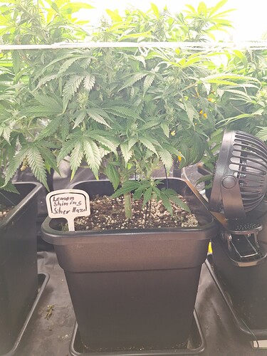 Growreport Bild 24