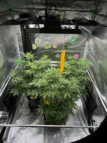 Growreport Bild 27