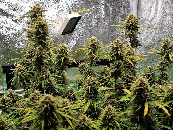 Growreport Bild 10