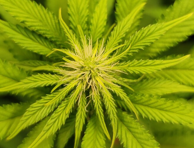Growreport Bild 12